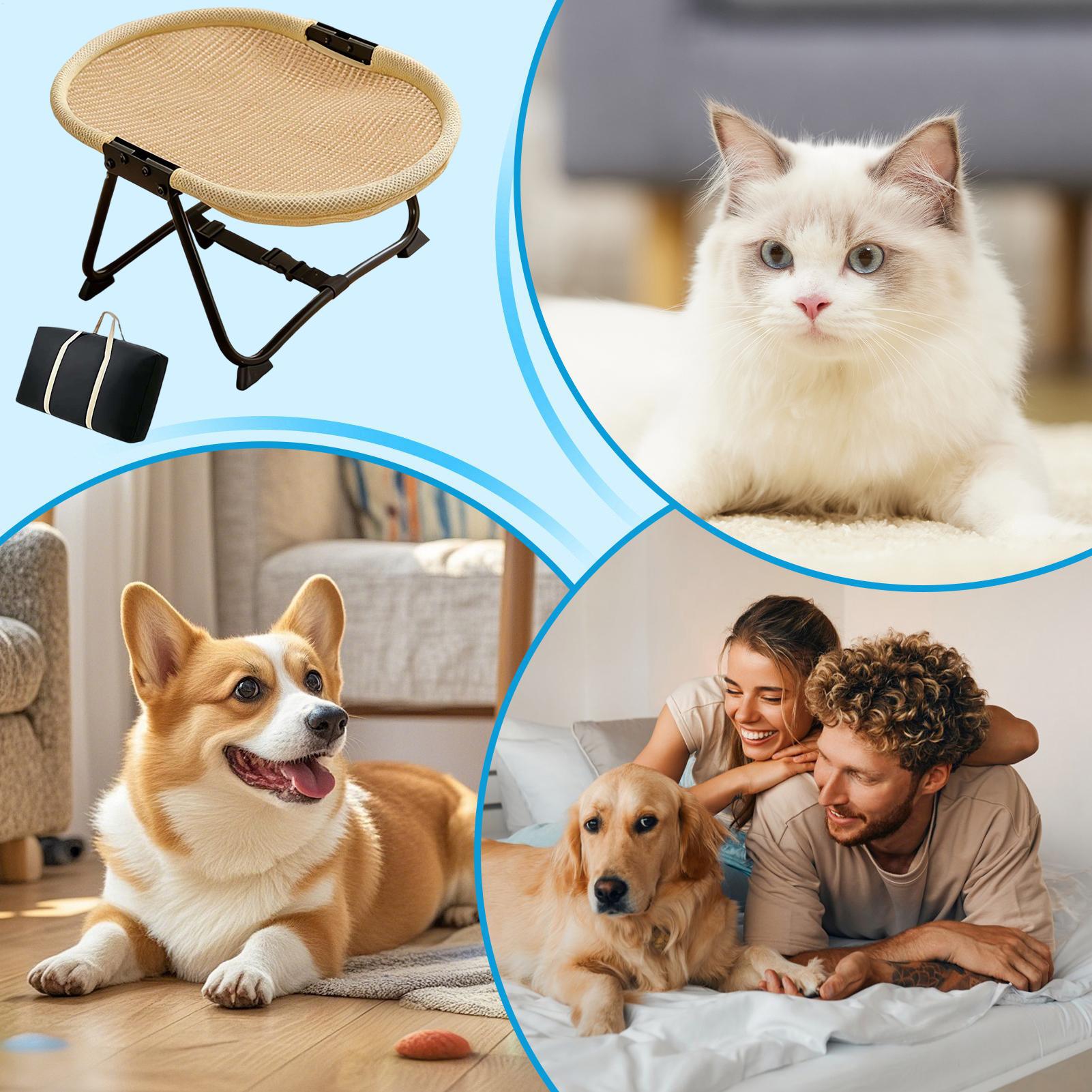 Hundebett, faltbar, weiche Hän – Outdoor Camping Dog Bed Bewertung und Preis
