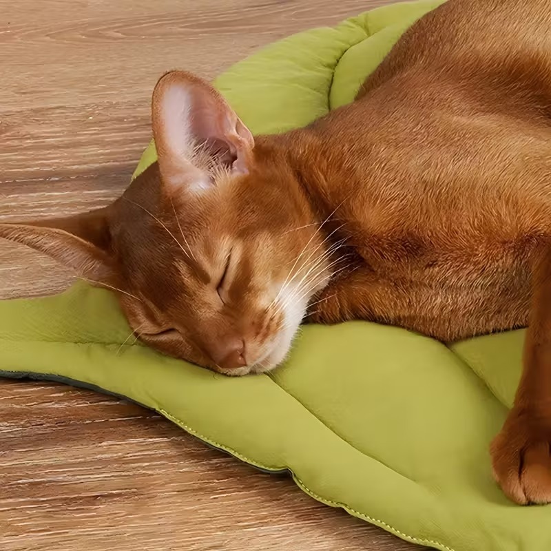 Reversibles Weiches Blattförmi – Outdoor Camping Dog Bed Bewertung und Preis