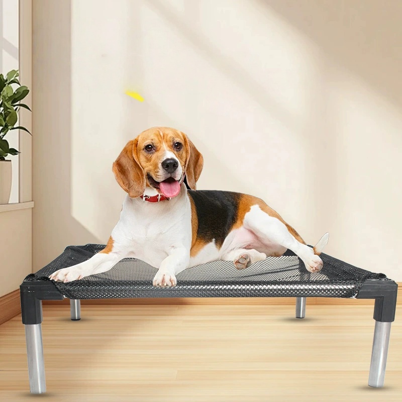 Kühlendes erhöhtes Hundebett – – Outdoor Camping Dog Bed Bewertung und Preis