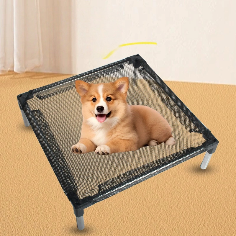 Kühlendes erhöhtes Hundebett – – Outdoor Camping Dog Bed Bewertung und Preis