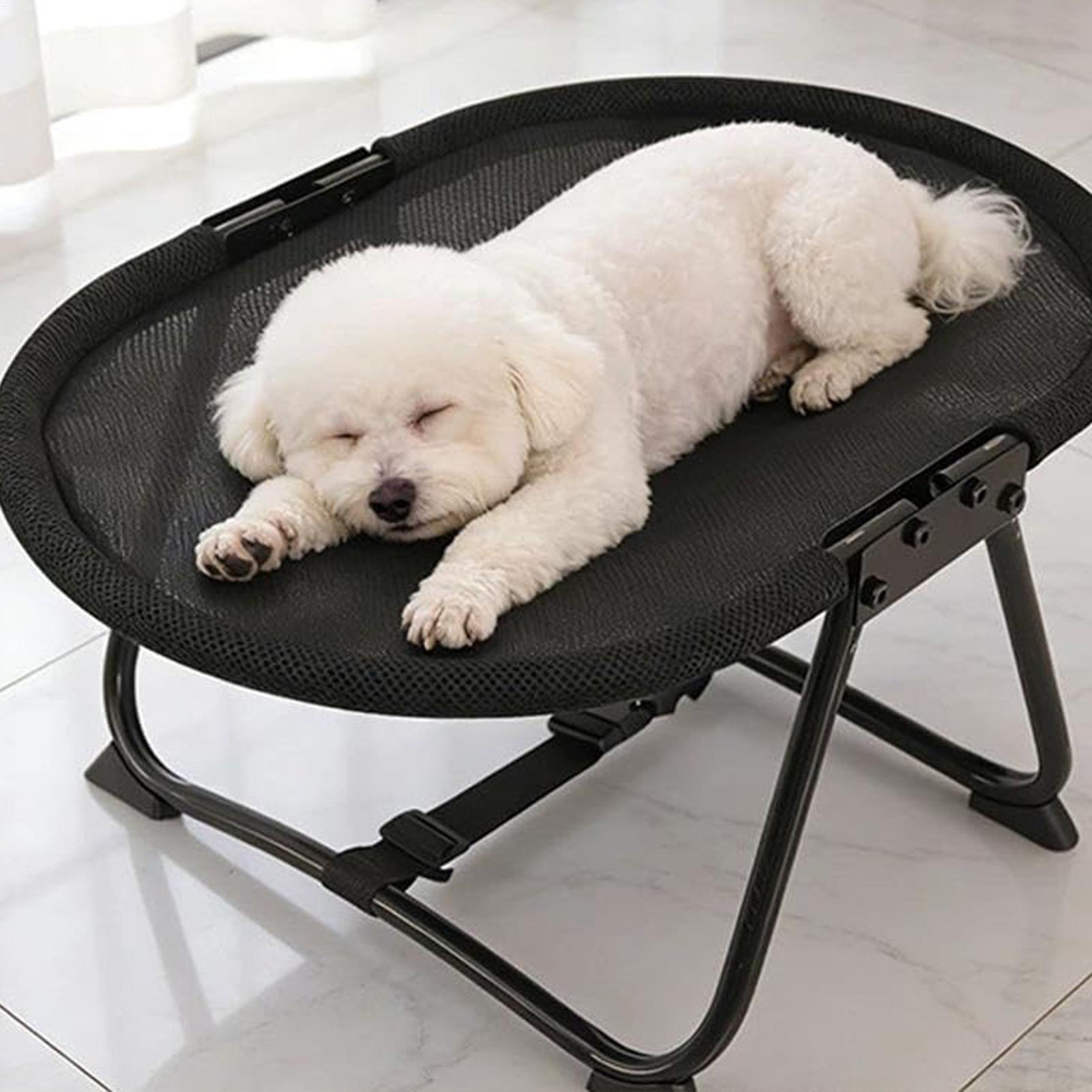 Hundebett, faltbar, atmungsakt – Outdoor Camping Dog Bed Bewertung und Preis