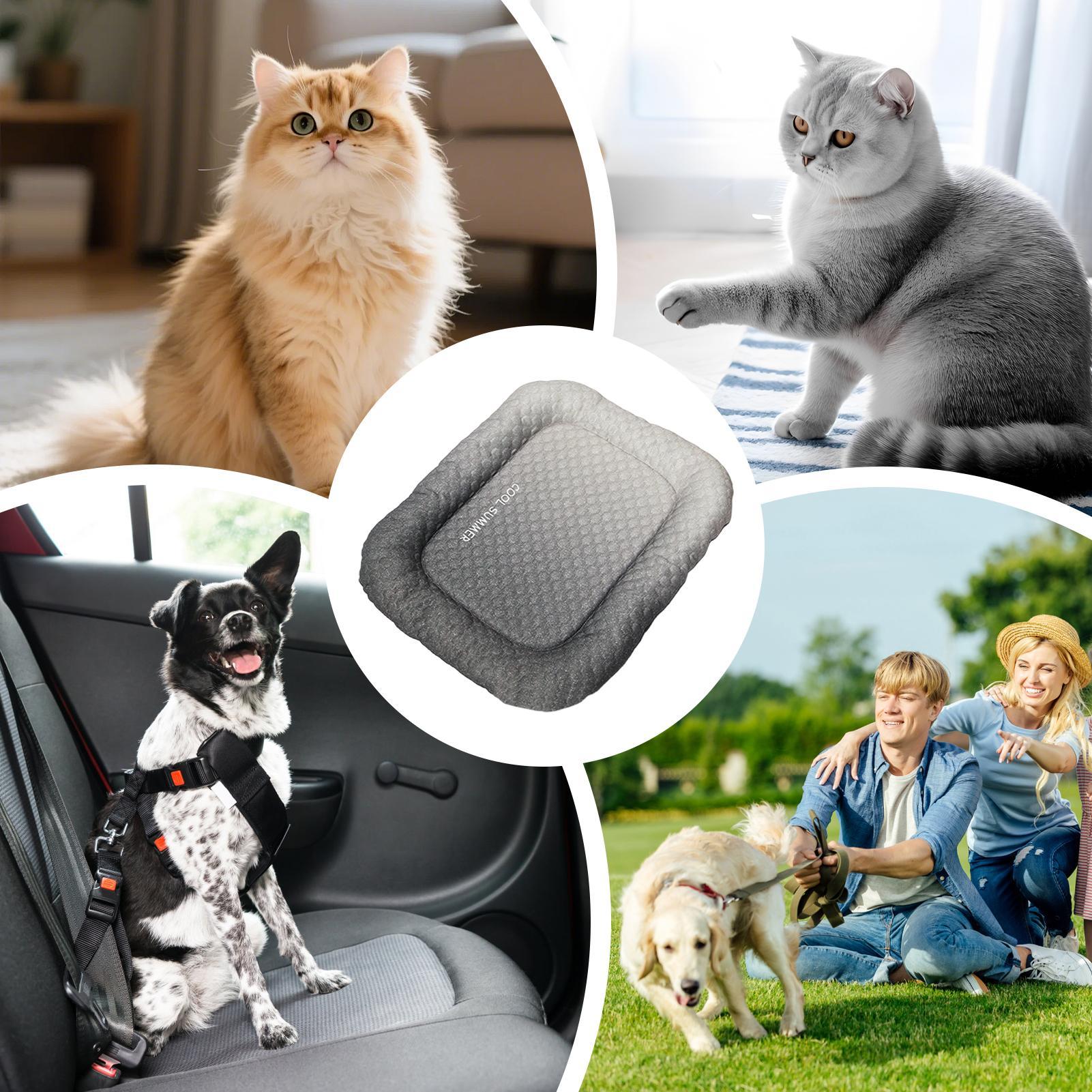 Tragbare, rutschfeste Kühlmatt – Outdoor Camping Dog Kennel Bewertung und Preis