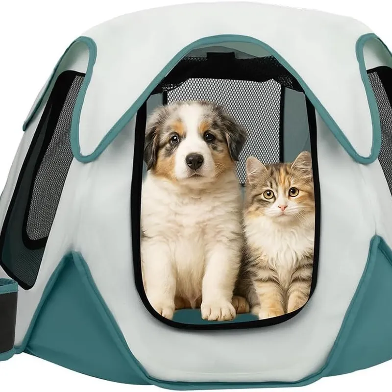 Tragbare Faltbare Haustiertran – Outdoor Camping Dog Kennel Bewertung und Preis
