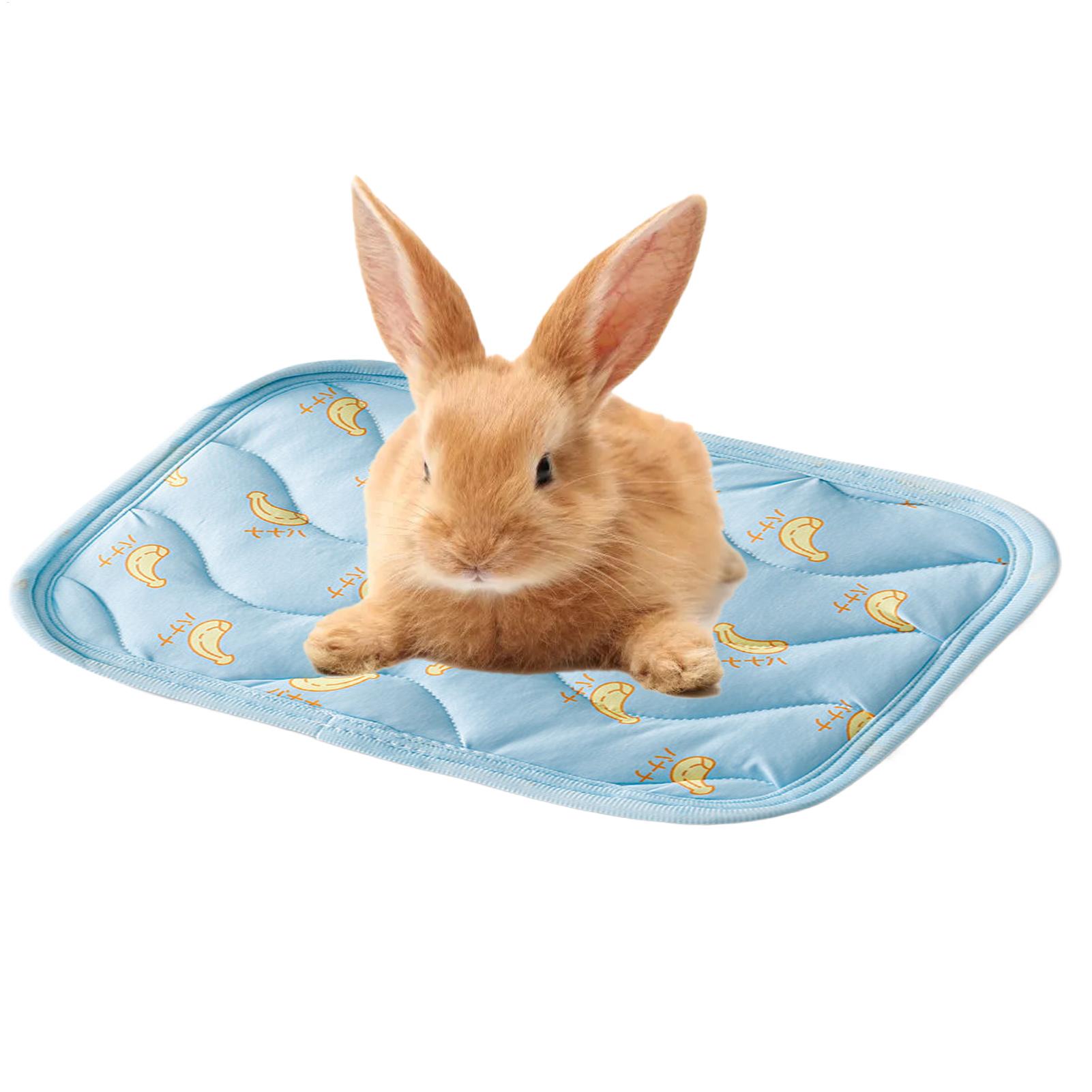 Tragbare, Langlebige Kühlmatte – Outdoor Camping Dog Kennel Bewertung und Preis