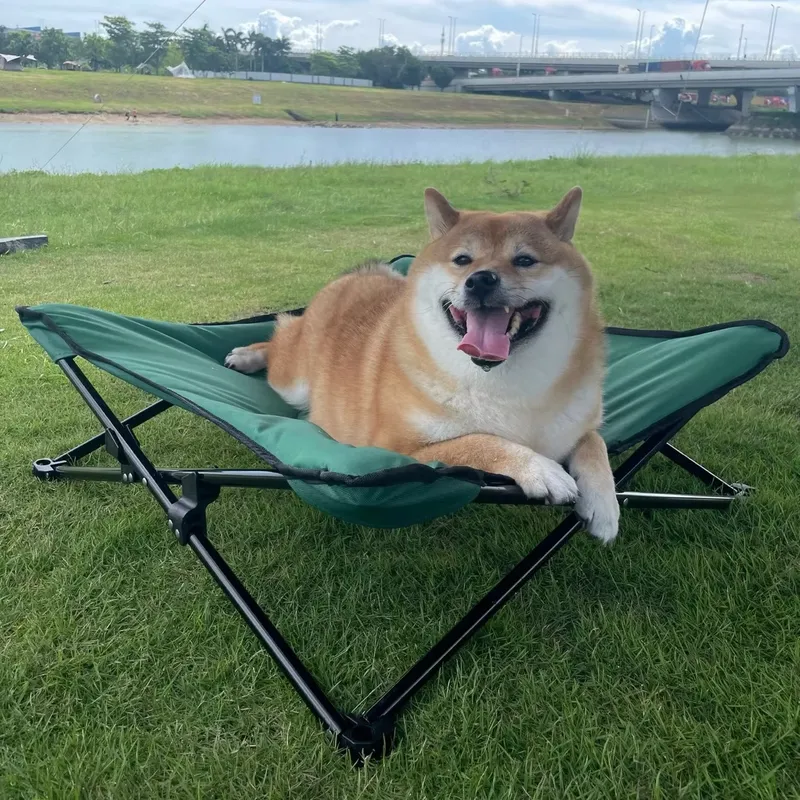 Luxuriöses, modernes, tragbare – Outdoor Camping Dog Bed Bewertung und Preis
